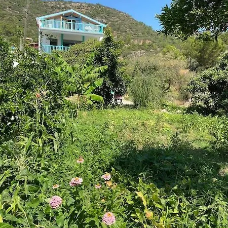 Butik Mor Salkim Evleri Датча