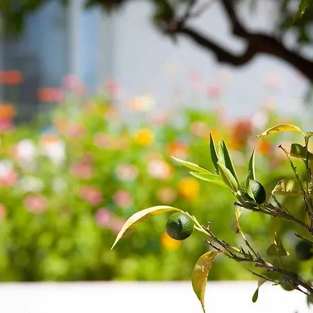 Butik Mor Salkim Evleri Дом отдыха