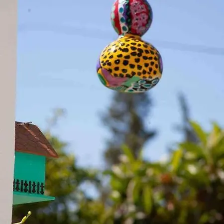 Butik Mor Salkim Evleri *