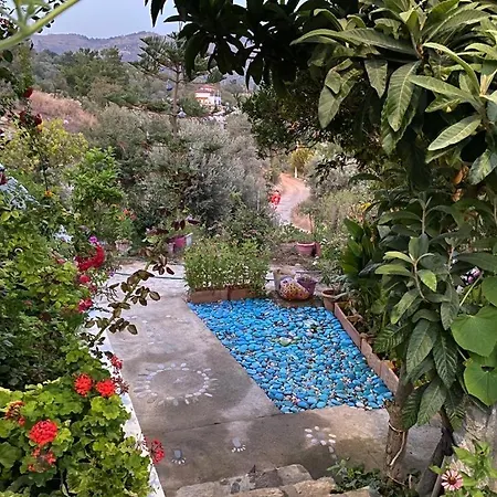 Butik Mor Salkim Evleri * Датча