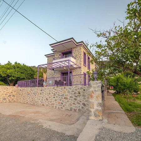 Дом отдыха Butik Mor Salkim Evleri *