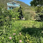Butik Mor Salkim Evleri Датча