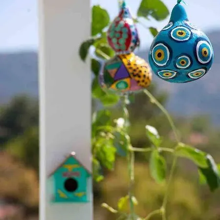 Butik Mor Salkim Evleri *